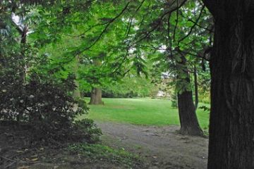 Vista dei sentieri che percorrono il parco